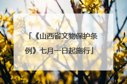 《山西省文物保护条例》七月一日起施行