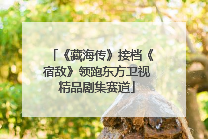 《藏海传》接档《宿敌》领跑东方卫视精品剧集赛道