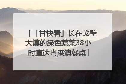 「甘快看」长在戈壁大漠的绿色蔬菜38小时直达粤港澳餐桌