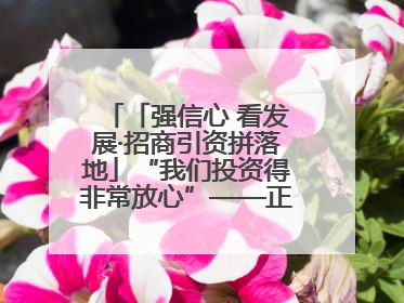 「强信心 看发展·招商引资拼落地」“我们投资得非常放心”——正宁县中钠储能新能源项目建设见闻