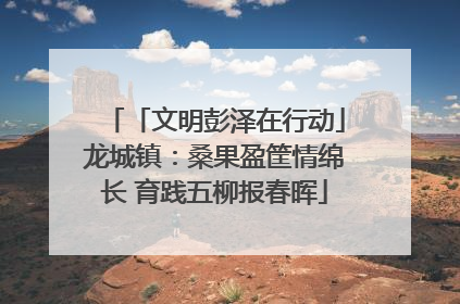 「文明彭泽在行动」龙城镇：桑果盈筐情绵长 育践五柳报春晖