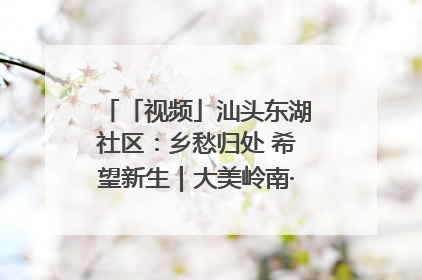 「视频」汕头东湖社区：乡愁归处 希望新生｜大美岭南·百村焕新记