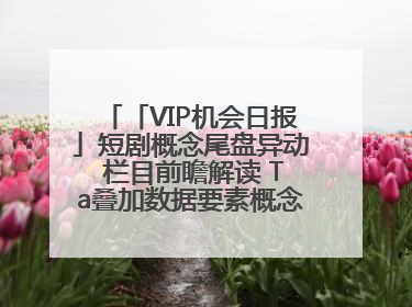「VIP机会日报」短剧概念尾盘异动 栏目前瞻解读 Ta叠加数据要素概念 大涨近10%