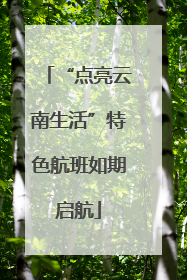 “点亮云南生活”特色航班如期启航