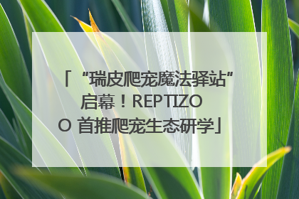“瑞皮爬宠魔法驿站” 启幕！REPTIZOO 首推爬宠生态研学