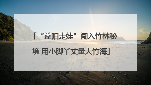 “益阳走娃”闯入竹林秘境 用小脚丫丈量大竹海