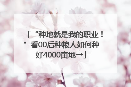 “种地就是我的职业！”看00后种粮人如何种好4000亩地→