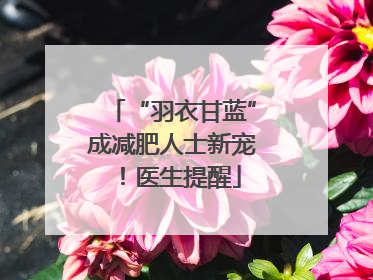 “羽衣甘蓝”成减肥人士新宠！医生提醒