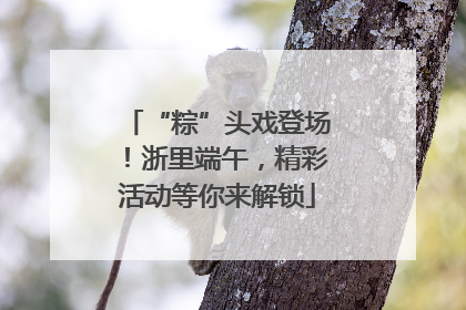 “粽”头戏登场！浙里端午，精彩活动等你来解锁