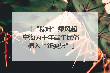 “粽叶”乘风起 宁海为千年端午民俗植入“新姿势”