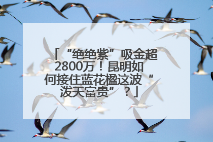 “绝绝紫”吸金超2800万！昆明如何接住蓝花楹这波“泼天富贵”？