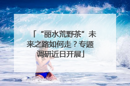 “丽水荒野茶”未来之路如何走？专题调研近日开展