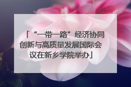 “一带一路”经济协同创新与高质量发展国际会议在新乡学院举办