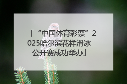 “中国体育彩票”2025哈尔滨花样滑冰公开赛成功举办