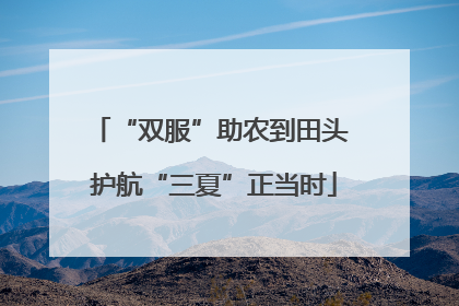 “双服”助农到田头 护航“三夏”正当时
