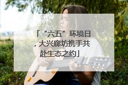 “六五”环境日，大兴廊坊携手共赴生态之约