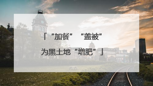 “加餐”“盖被” 为黑土地“增肥”