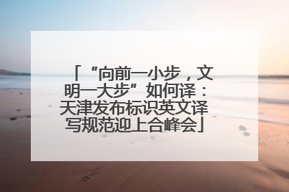 “向前一小步，文明一大步”如何译：天津发布标识英文译写规范迎上合峰会