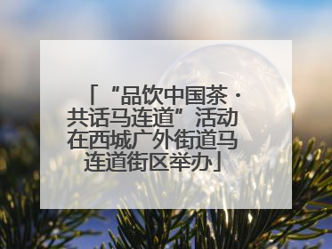 “品饮中国茶・共话马连道”活动在西城广外街道马连道街区举办