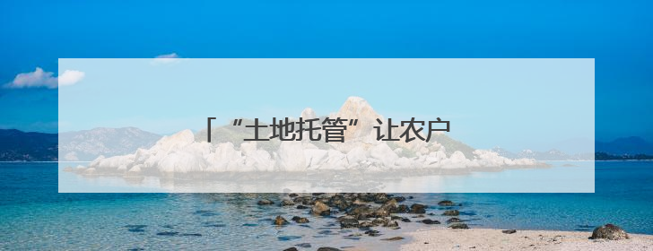 “土地托管”让农户当上“甩手掌柜”