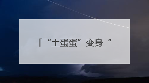 “土蛋蛋”变身“金疙瘩”：孙伯镇西程村土豆丰收记