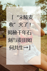 “宋陵麦收”火了！揭秘千年石刻与麦田如何共生→