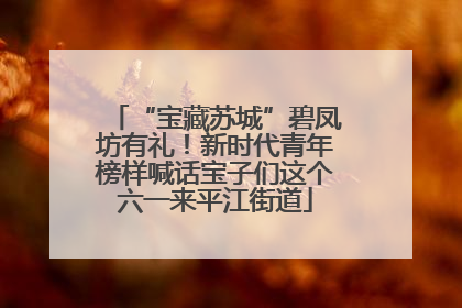 “宝藏苏城”碧凤坊有礼！新时代青年榜样喊话宝子们这个六一来平江街道
