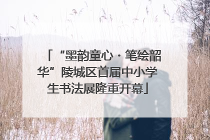 “墨韵童心・笔绘韶华”陵城区首届中小学生书法展隆重开幕