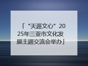 “天涯文心”2025年三亚市文化发展主题交流会举办