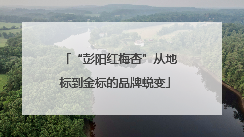 “彭阳红梅杏”从地标到金标的品牌蜕变