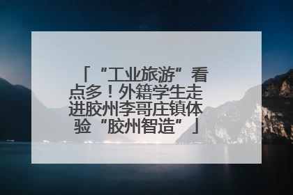 “工业旅游”看点多！外籍学生走进胶州李哥庄镇体验“胶州智造”