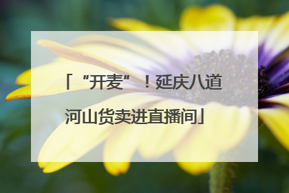 “开麦”！延庆八道河山货卖进直播间