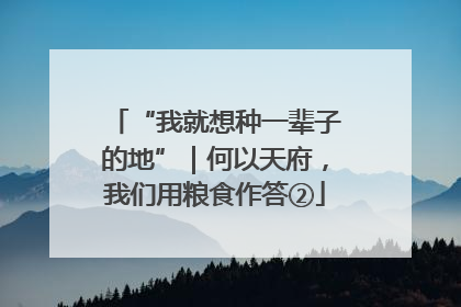 “我就想种一辈子的地”｜何以天府，我们用粮食作答②