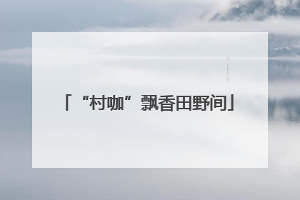 “村咖”飘香田野间