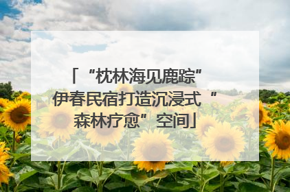 “枕林海见鹿踪” 伊春民宿打造沉浸式“森林疗愈”空间