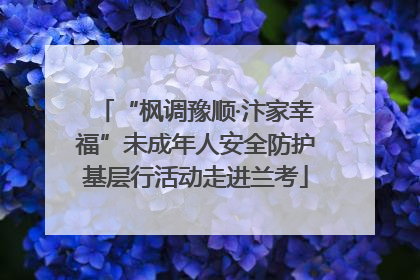“枫调豫顺·汴家幸福”未成年人安全防护基层行活动走进兰考