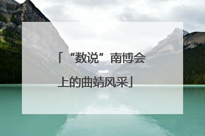 “数说”南博会上的曲靖风采