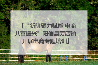 “新阶聚力赋能·电商共富振兴”阳信县劳店镇开展电商专题培训