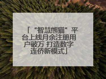 “智慧熊猫”平台上线月余注册用户破万 打造数字连侨新模式