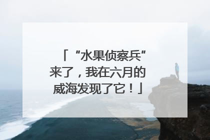 “水果侦察兵”来了，我在六月的威海发现了它！