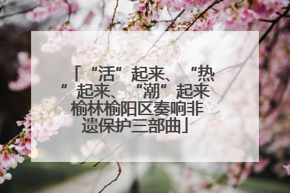 “活”起来、“热”起来、“潮”起来 榆林榆阳区奏响非遗保护三部曲