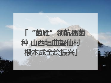 “菌雁”领航播菌种 山西垣曲望仙村椴木成金绘振兴