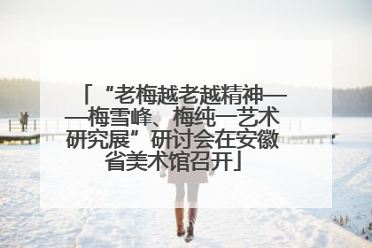 “老梅越老越精神——梅雪峰、梅纯一艺术研究展”研讨会在安徽省美术馆召开