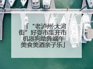 “老泸州·大河街”好耍市集开市 机器狗助阵端午美食美酒亲子乐