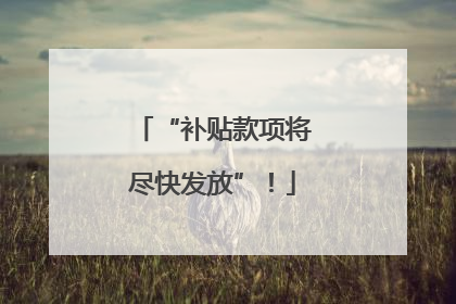 “补贴款项将尽快发放”！