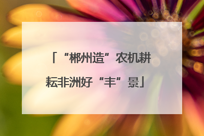“郴州造”农机耕耘非洲好“丰”景