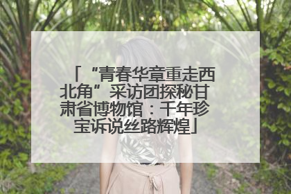 “青春华章重走西北角”采访团探秘甘肃省博物馆：千年珍宝诉说丝路辉煌