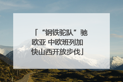 “钢铁驼队”驰欧亚 中欧班列加快山西开放步伐