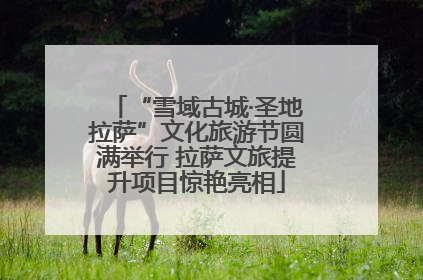 “雪域古城·圣地拉萨”文化旅游节圆满举行 拉萨文旅提升项目惊艳亮相