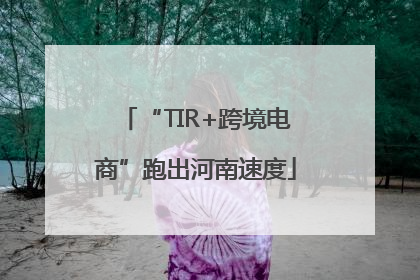 “TIR+跨境电商”跑出河南速度